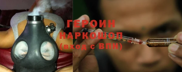 гидра Михайловка