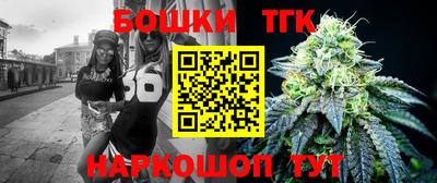 индика Кинель