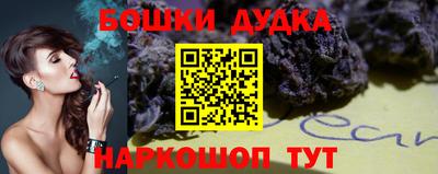 индика Кинель