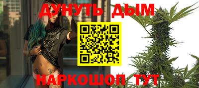 индика Кинель