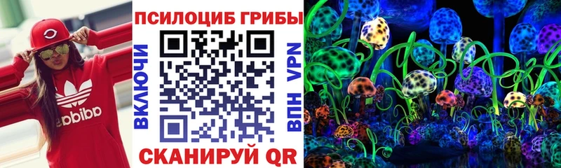 Псилоцибиновые грибы Psilocybine cubensis  Сокол 